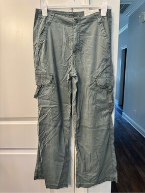 American Eagle Outfitters Sage Green Wide Leg Cargo Pants